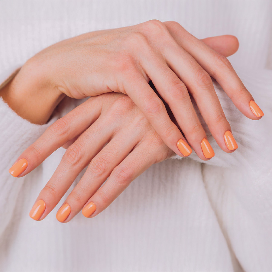 Paradise Nails